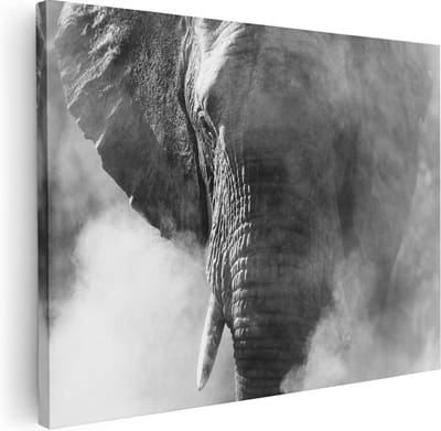 Artaza Canvas Schilderij Dierenkop Olifant - 40x30 cm - Klein - Wanddecoratie Woonkamer - Muurdecoratie Dieren - Kamer Accessoires