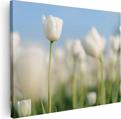 Artaza Canvas Schilderij Tulpenveld - 40x30 cm - Klein - Muurdecoratie Bloemen - Wanddecoratie Woonkamer - Kamer Accessoires