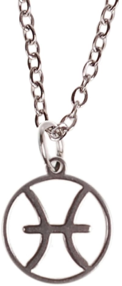 Ketting Zilverkleurig 55cm - Hangertje Sterrenbeeld RVS - Vissen