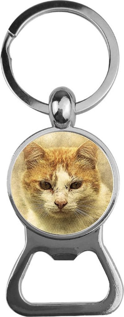 Bieropener Glas - Kat