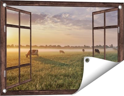 Gards Tuinposter Doorkijk Koeien in de Wei tijdens Zonsopkomst - 60x40 cm - Tuindoek - Tuindecoratie - Wanddecoratie buiten - Tuinschilderij