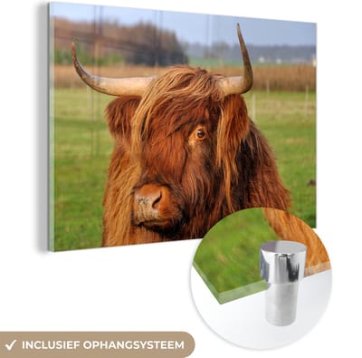 MuchoWow® Glasschilderij 150x100 cm - Schilderij acrylglas - Schotse Hooglander - Gras - Boom - Foto op glas - Schilderijen