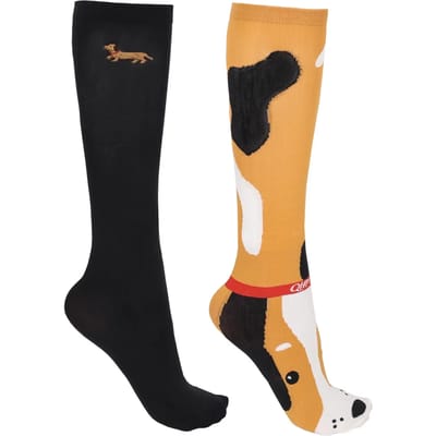 Damessokken QHP Gift Box Stable Buddy (x2)