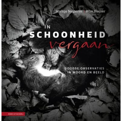 In Schoonheid Vergaan - Wim Huijser