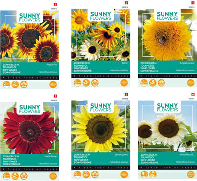 Zonnebloem zaden set van 6 verschillende soorten | Zonnebloem Ring of Fire | Zonnebloem Esther | Zonnebloem Sungold | Zonnebloem Moulin | Zonnebloem White Moon | Zonnebloem Lemon | Set je hele tuin vol met zonnebloemen in diverse kleuren