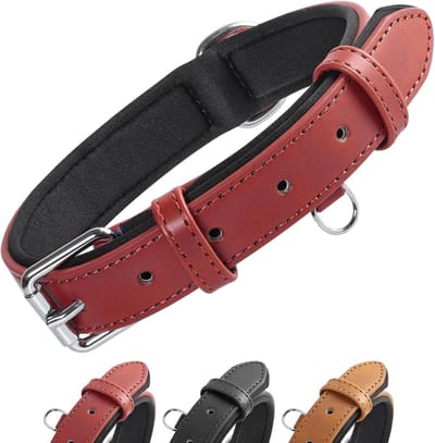 Line Hondenhalsband Verstelbaar Neopreen Gewatteerd Leer Verkrijgbaar in 4 Maten en 3 Kleuren voor Kleine, Middelgrote en Grote Honden, Rood(S)