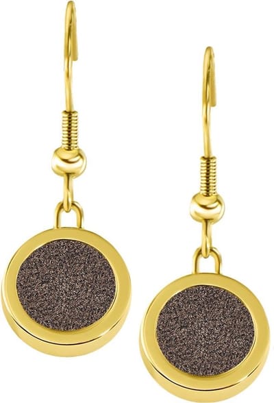 Quiges RVS Schroefsysteem Oorhangers Oorbellen Goudkleurig met Verwisselbare Glitter Bruin Mini Munt Set - ECOS207