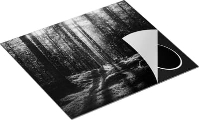 Chefcare Inductie Beschermer Bos met Mos op de Grond - Zwart Wit - 60x50 cm - Afdekplaat Inductie - Kookplaat Beschermer - Inductie Mat