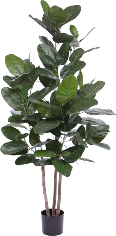 Ficus Audrey kunstplant 160cm