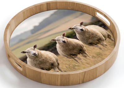 Dienblad rond 40x40 cm - Schootdienblad hout - Schapen - Weidenlandschap - Heuvels - Borrelplank rechthoek - Plateau houten dienbladen
