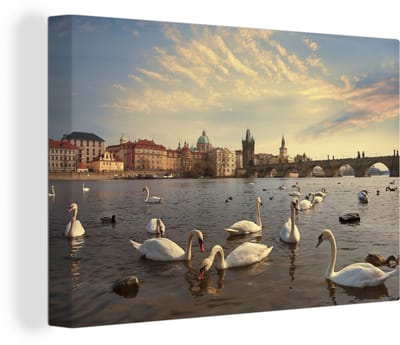 Canvas Schilderij Praag - Zwaan - Water - 60x40 cm - Wanddecoratie