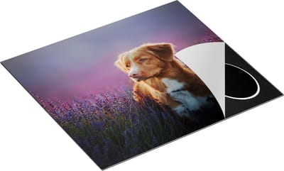 Chefcare Inductie Beschermer Retriever Hond tussen de Lavendel Bloemen - 60x50 cm - Afdekplaat Inductie - Kookplaat Beschermer - Inductie Mat