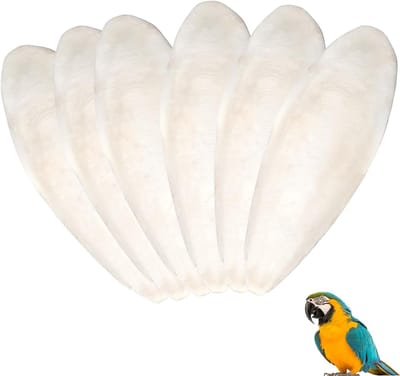 6 Stukken Sepiac Botten - Beige Sepia Vogels - Kauwspeelgoed - Voetbalsteen voor Vogels - Schildpadden - Slakken - Papegaaien - Grills - Duiven