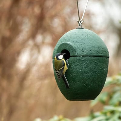 CJ Wildlife Nestkast - Aanbevolen door de Vogelbescherming Nederland - Malaga - 32mm - Nestkastje voor o.a. Koolmees, Boomklevers & Mussen - Woodstone Vogelhuisje - FSC-gecertificeerd - Groen