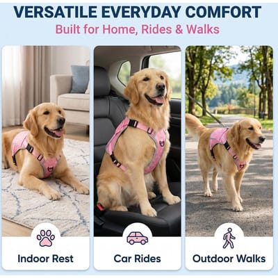 Gilet de refroidissement pour animal de compagnie, au frais pendant les promenades ou à la maison. Caractéristiques : Pack de refroidissement remplaçable pour Malamutes d'Alaska, Golden Retrievers, Border Collies. Extérieur (as the picture,M)