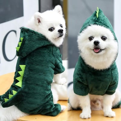 Vêtements pour Chien Costume Petit Animal Halloween Vêtements de Dinosaure Costume Chiens Chats Tenues pour Chiot Vêtements Amusants pour Chiens Petits et Moyens M for 2-3kg gray