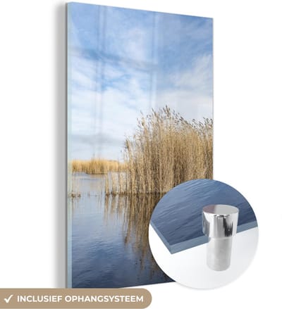 ® Glasschilderij 120x180 cm - Schilderij acrylglas - Riet langs een meer in het Nationaal Park Neusiedler See-Seewinkel - Foto op glas - Muurdecoratie woonkamer - Wanddecoratie slaapkamer - Schilderijen