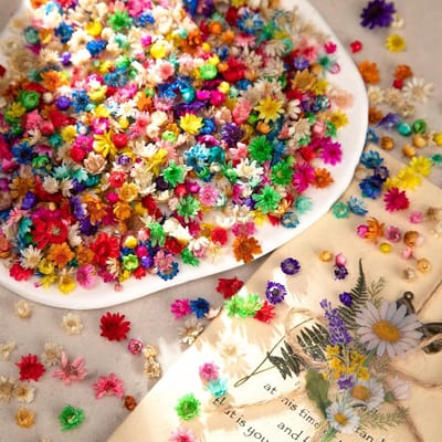720 Stuks Droogbloemen Set voor Knutselen, Zeep, Kaarsen en Sieraden Maken