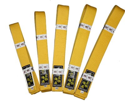 Budo band Geel - 280 cm