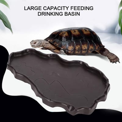 NW‑29 Bassin d'alimentation en plastique pour reptiles Serpent Grenouilles Plat d'eau et de nourriture Décorations de paysage