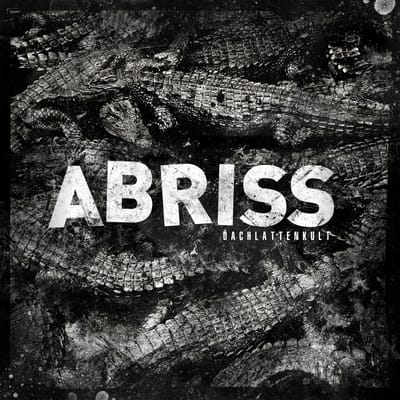 Abriss - Dachlattenkult (LP)
