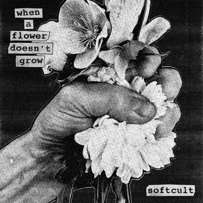 When A Flower Doesn't Grow - Softcult