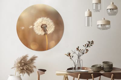 WallCircle - Wandcirkel - Muurcirkel - Paardenbloem - Beige - Natuur - Bloem - Aluminium - Dibond - 140x140 cm - Binnen en Buiten
