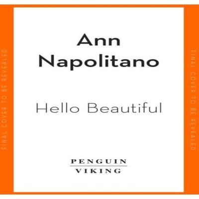 Hello Beautiful van Ann Napolitano Paperback Boek 9780241998496