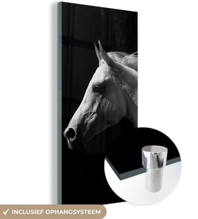 MuchoWow® Glasschilderij 20x40 cm - Schilderij acrylglas - Paarden - Dieren - Portret - Foto op glas - Schilderijen
