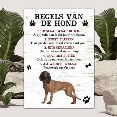 Spreuken - Beierse Bergzweethond - Regels Van De Hond - Spreuken Bordjes - Spreukenbord - Tekstborden - Cadeau - Hondenras