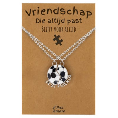 BFF Ketting voor 2 'Vriendschap die altijd past' - Magnetische Voetbal - Vriendschapsketting op Cadeau Kaartje - 45cm + 5cm verstelbaar - Zilverkleurig - Best Friends Hanger - Pax Amare