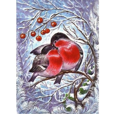 Peinture Diamant 5D Animal Fait Main Bricolage Broderie Diamant Oiseau Cardinal Mosaïque Point de Croix 20X30CM red