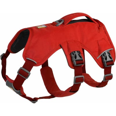 Hondentuig Ruffwear Web Master