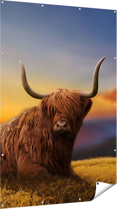 Gards Tuinposter Schotse Hooglander Koe op een Heuvel - 120x180 cm - Tuindoek - Tuindecoratie - Wanddecoratie buiten - Tuinschilderij