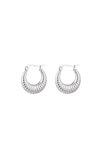 Yehwang - Zilveren Oorbellen - Oorringetjes - Zilver - Stainless Steel - Nikkel Vrij - Waterproof - Hoops - Sieraad - Sieraden - Cadeau - Cadeautip