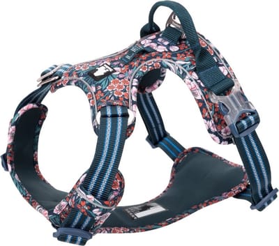 Truelove honden tuig - Honden harnas - Tuigje - Harnas – Reflecterend - Hond - Wandelen - Blauw bont - XS