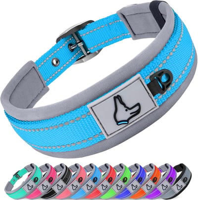 Reflecterende Hondenhalsband voor Middelgrote Honden - Verstelbare Neopreen Gewatteerde Halsband met Duurzame Riemgesp