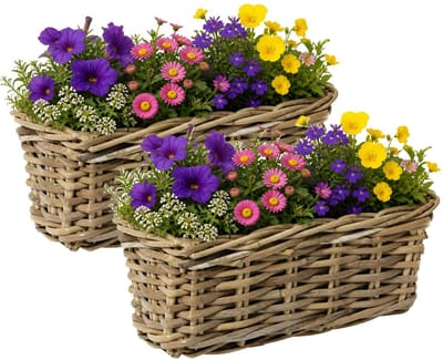 Mega Collections Plantenmand Botha - 2x - rotan - naturel - rechthoek - 32 x 16 x 14 cm - plantenbak buiten/binnen