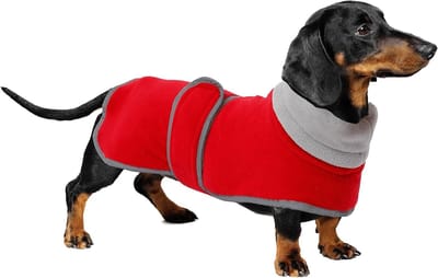Warm Thermisch Gevoerd Dachshund Jacket voor Honden, Winterjas met Fleece Voering, Verstelbare Outdoor Kleding voor Kleine, Middelgrote en Grote Honden - Rood - Bescherming tegen Koude en Wind