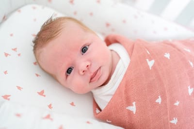Briljant Baby Hydrofiel Multidoek XL Birds - Swaddle - Inbakerdoek - 120x120 - Ash Rose - 2 Stuks - Organic