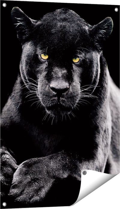 Gards Tuinposter Zwarte Panter - 60x90 cm - Tuindoek - Tuindecoratie - Wanddecoratie buiten - Tuinschilderij