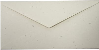 Ecologische ecru enveloppen A4 - 110 x 220 mm - 25 stuks - NK natgelijmde - 130 gram - Flora - Netuno