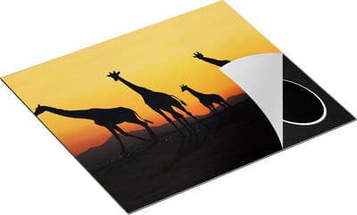 Chefcare Inductie Beschermer Vier Giraffe Silhouetten bij Zonsondergang - 60x50 cm - Afdekplaat Inductie - Kookplaat Beschermer - Inductie Mat