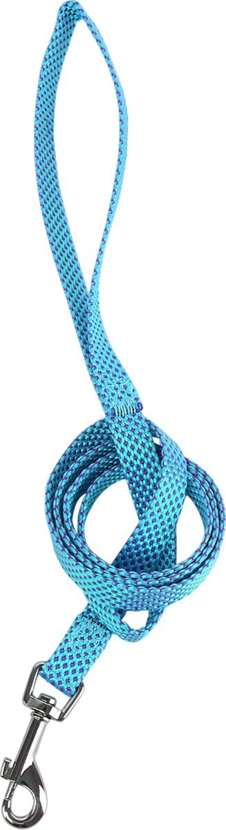 Nobleza Hondenriem - Maat S - Lengte 120 cm - Hondenlijn - Leiband hond - Fluorescerend - Honden riem - Riem hond - Puppy riem- Gestipt - Blauw