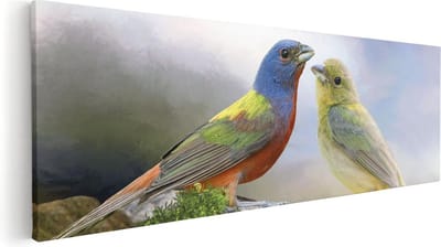 Artaza Canvas Schilderij Vogel Op Tak - 60x20 cm - Wanddecoratie Dieren - Muurdecoratie Woonkamer - Schilderijen Op Canvas Natuur