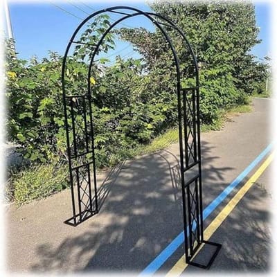 Rozenboog Metaal - Tuin Prieel - Planten Ondersteunen - Verzinkt Staal Frame - 220x230 cm - Zwart