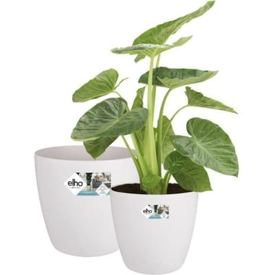 Elho Brussels Rond Wielen - Grote Bloempotten voor Binnen - 100% Gerecycled Plastic - Set van 2 - Ø 35, 40 cm - Wit