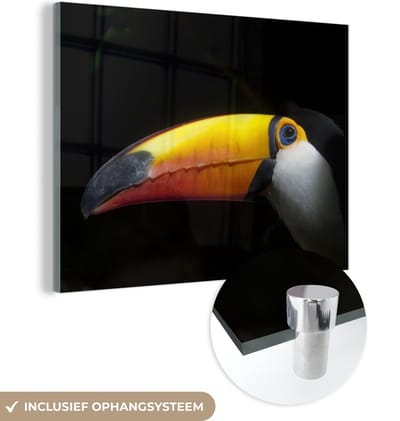 MuchoWow® Glasschilderij 160x120 cm - Schilderij acrylglas - Toekan - Vogel - Snavel - Foto op glas - Schilderijen