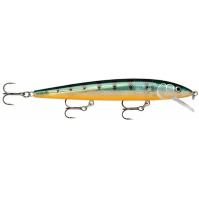 Ophangen van kunstaas Rapala husky jerk 12 cm