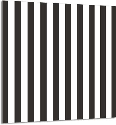 TMK ArtDeko - Serie - Glazen Paneel - 60x65 cm - Bescherming